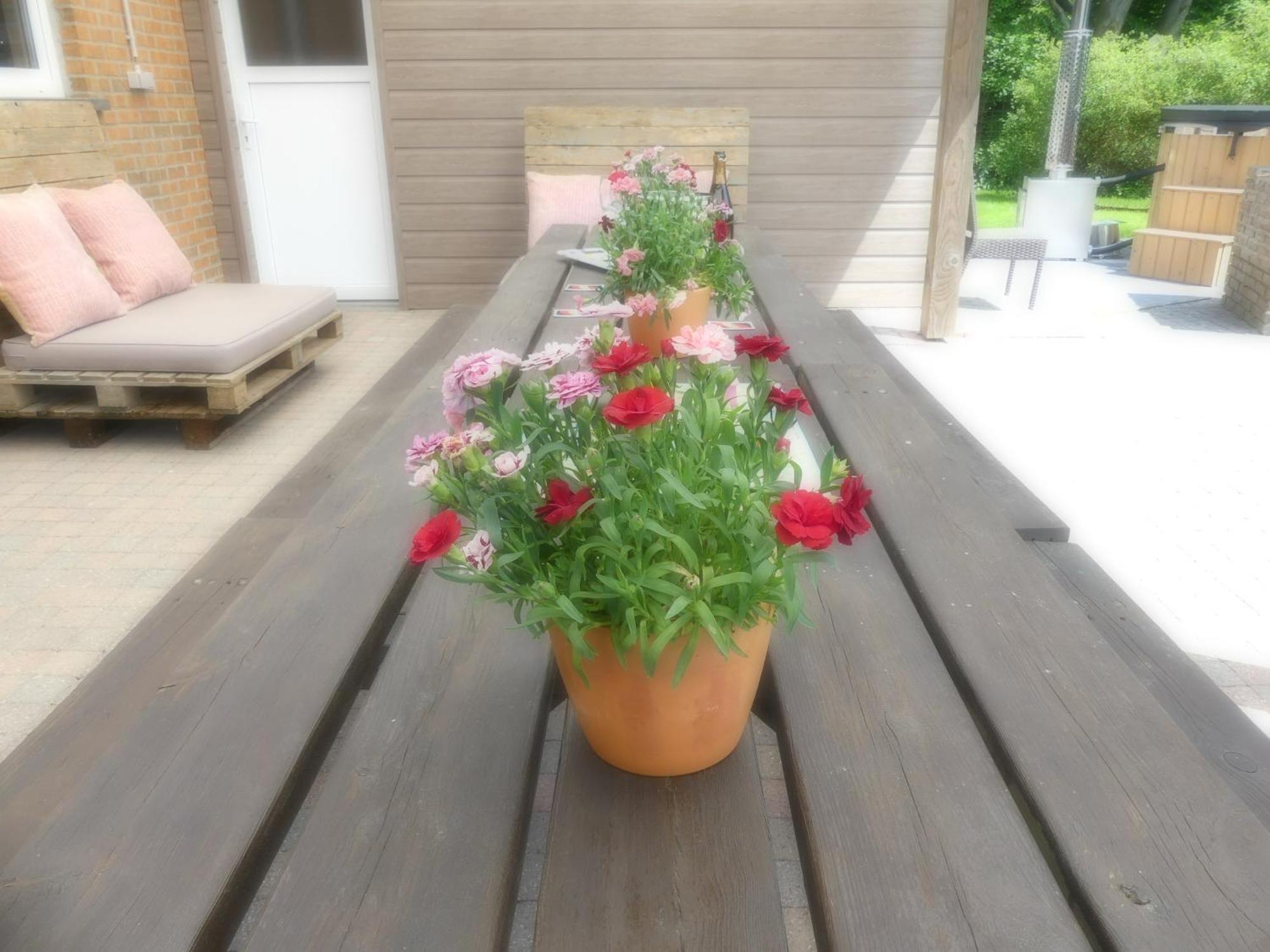 Coeur De Loup Holiday home Sourbrodt